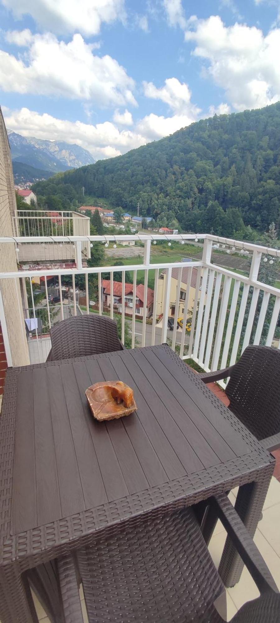 Duplex Belle View Sinaia-Free Parking Διαμέρισμα Εξωτερικό φωτογραφία