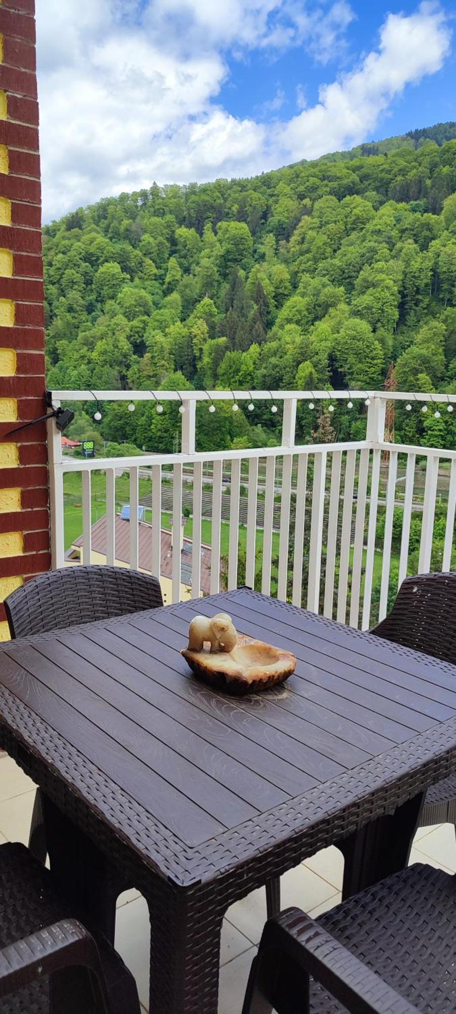 Duplex Belle View Sinaia-Free Parking Διαμέρισμα Εξωτερικό φωτογραφία