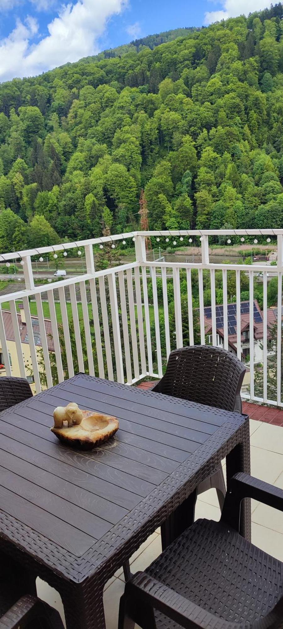Duplex Belle View Sinaia-Free Parking Διαμέρισμα Εξωτερικό φωτογραφία